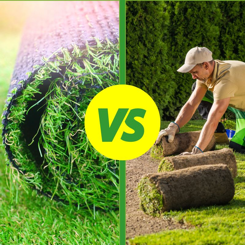 Side by side image of Artificial Grass Vs Instant Turf