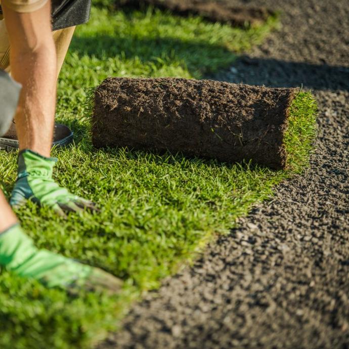 Person pushing down on a newly rolled piece of instant real turf