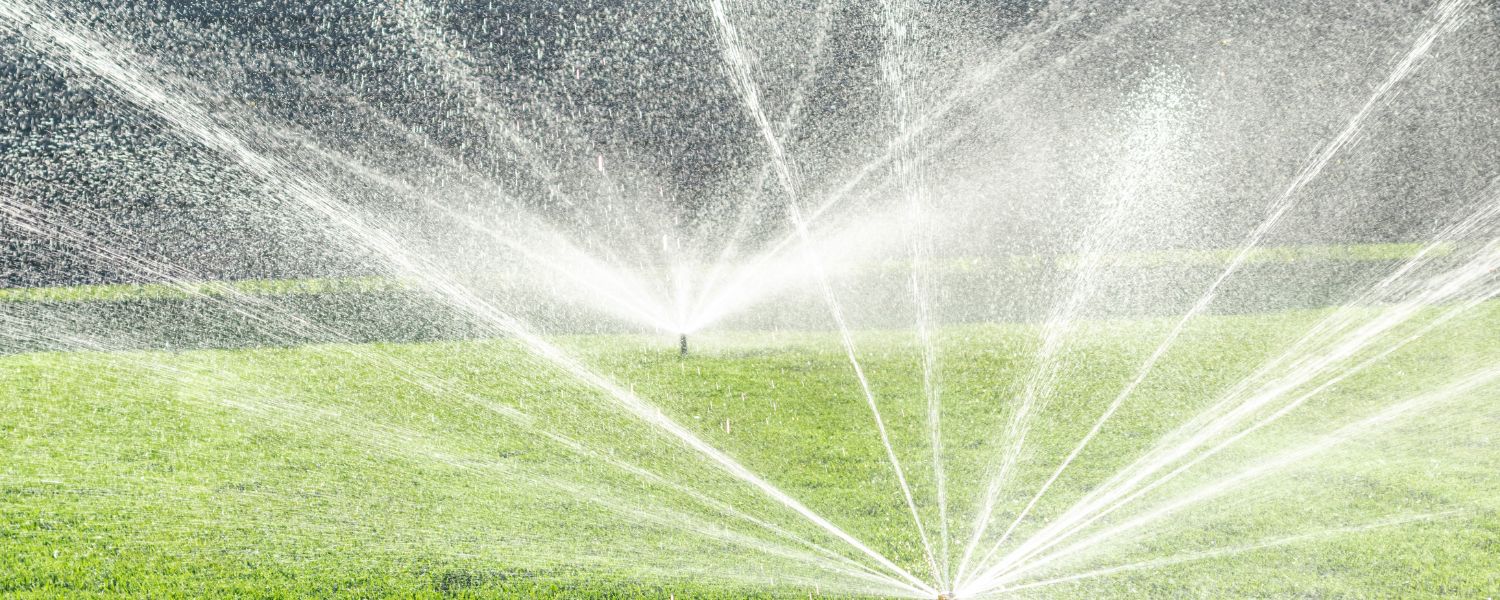 watering lawn