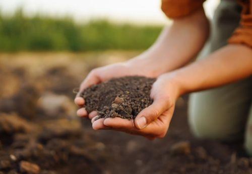 Women holding a handful of soil