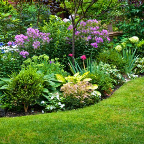 Garden bed with colourful flowers and a green lawn