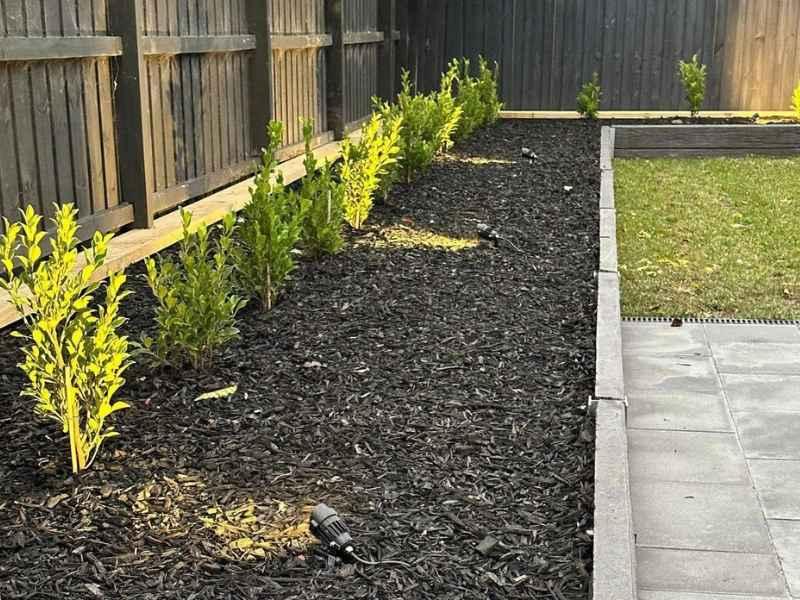 Black Wood mulch product from Daisy's Garden Supplies