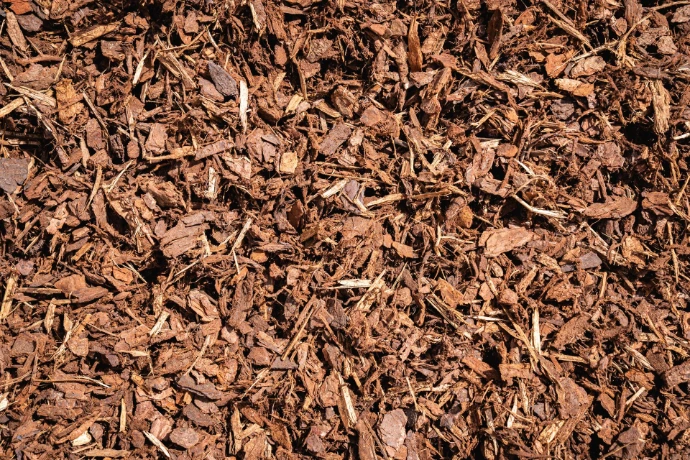 Daisy's Mulch