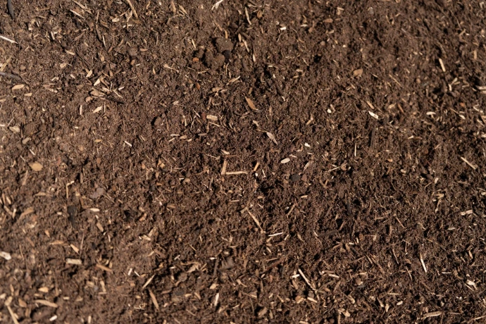 Daisys soil
