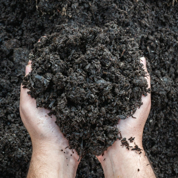 Compost 