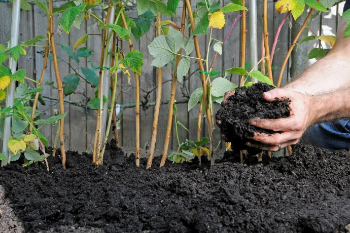 Nutrient heavy mulch