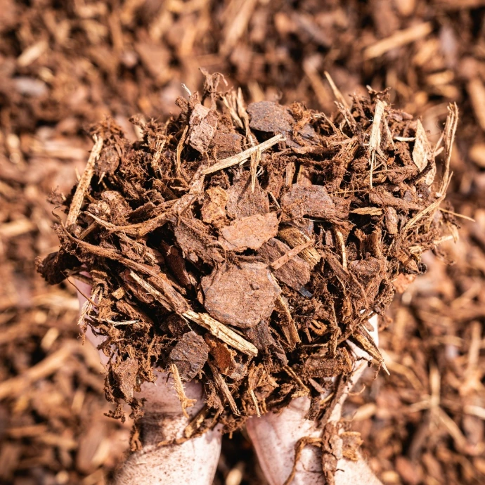 20mm Pine Bark