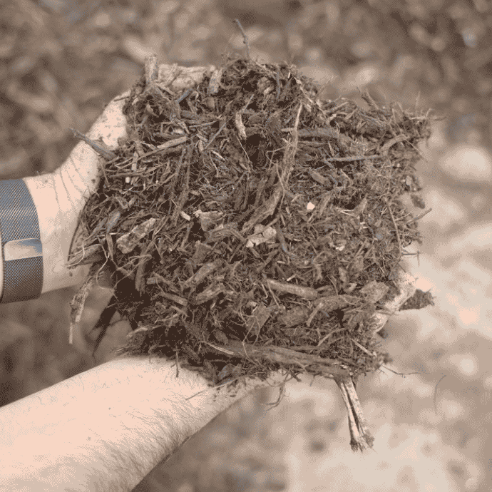 Daisy's Eucey Mulch