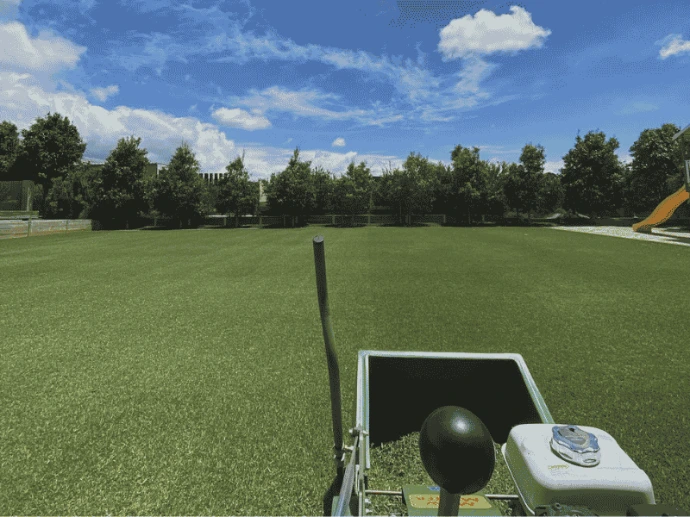 Real grass backyard