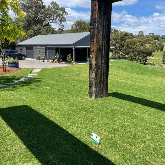 Daisys's Lawn Mix best for Lawns