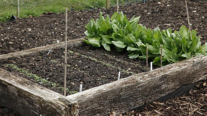 Sleepers raised bed garden