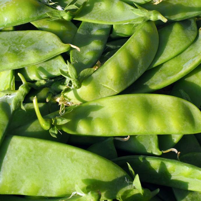 snowpeas