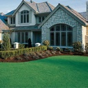 INSTANT TURF - RTF TALL FESCUE