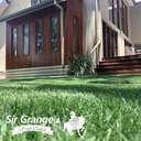 INSTANT TURF - SIR GRANGE ZOYSIA