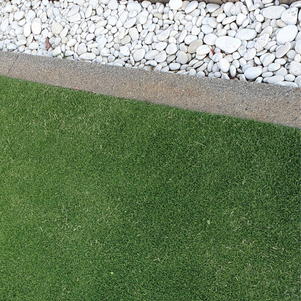 INSTANT TURF - TIFTUF HYBRID COUCH