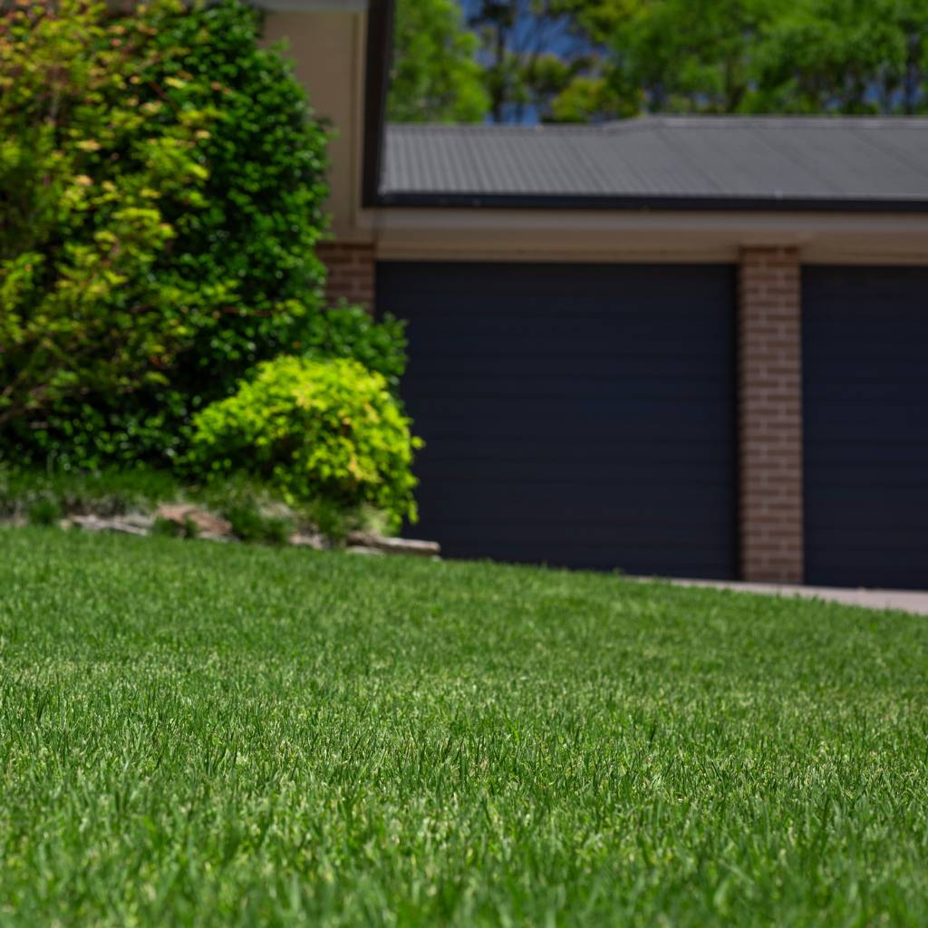 INSTANT TURF - EUREKA PREMIUM VG KIKUYU