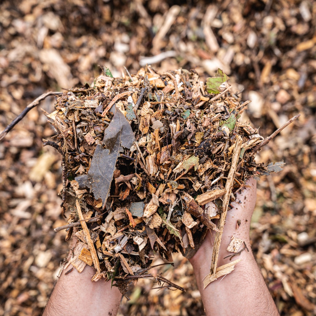 TREE MULCH