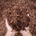 PINE MULCH*