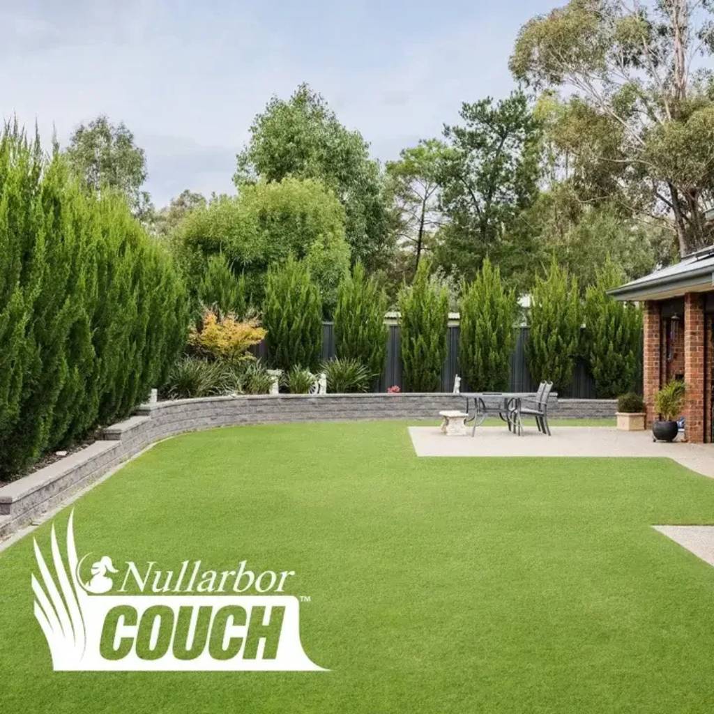 INSTANT TURF - NULLARBOR SANTA ANA COUCH