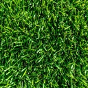 INSTANT TURF - TIFTUF COUCH