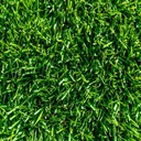 INSTANT TURF - TIFTUF HYBRID COUCH