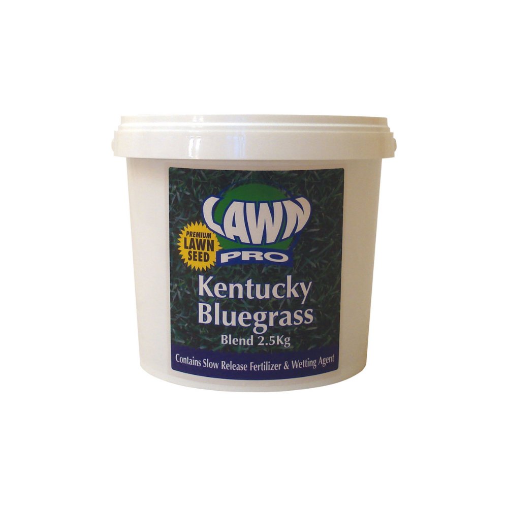 [310582] LAWN PRO KENTUCKY BLUEGRASS BLEND 2.5KG