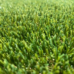 [319922] AMAZING TURF PREMIUM PLUS 40 3.75M WIDE