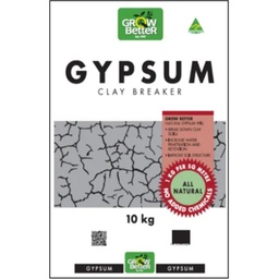 [310430] GYPSUM 10KG